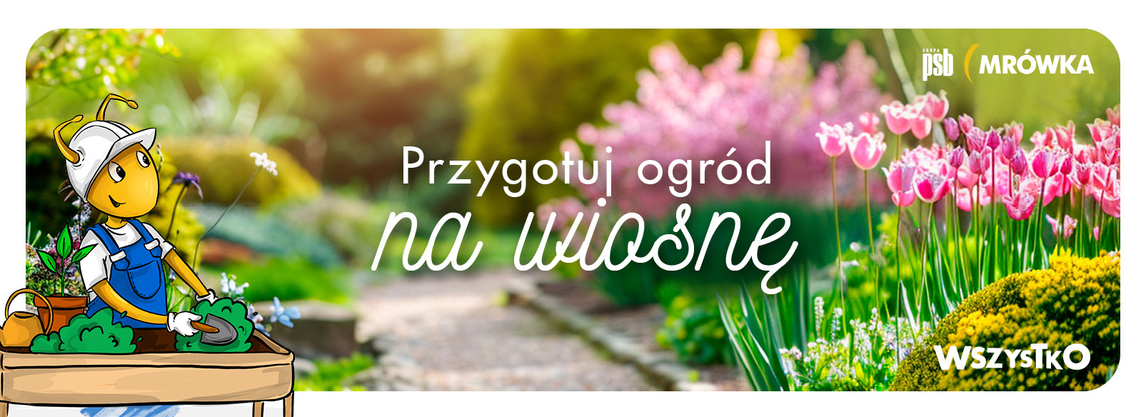 Grupa PSB mrowka PSB Mrówka Tarnobrzeg