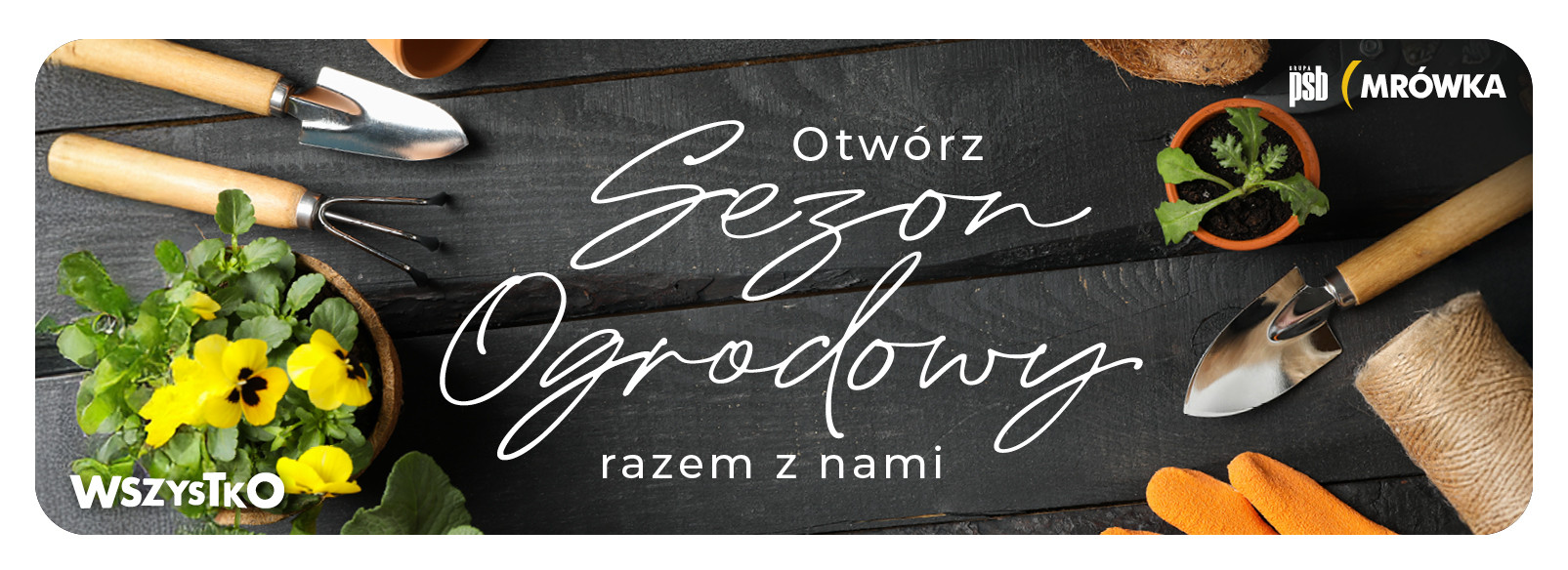 Grupa PSB mrowka PSB Mrówka Tarnobrzeg