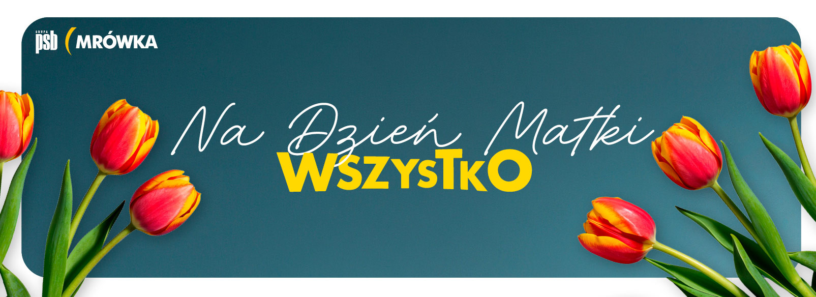 Grupa PSB mrowka PSB Mrówka Tarnobrzeg